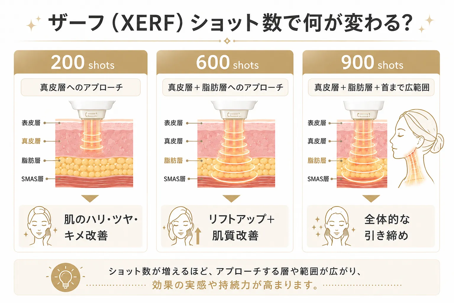 ザーフ(XERF)のショット数による作用層の違いを示した図解。200shots・600shots・900shotsの3パターンで、真皮層・脂肪層・SMAS層への照射深度の違いと期待できる効果を皮膚断面イラストで解説。