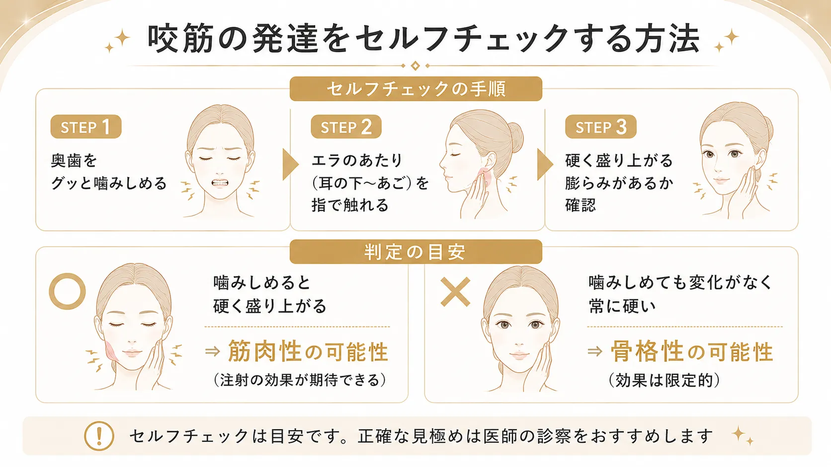 咬筋の発達をセルフチェックする方法を示したインフォグラフィック。3ステップの手順と筋肉性・骨格性の判定の目安を図解